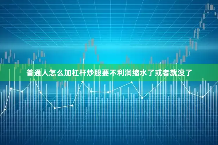 普通人怎么加杠杆炒股要不利润缩水了或者就没了