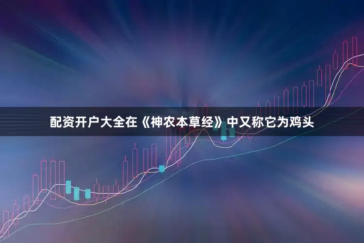 配资开户大全在《神农本草经》中又称它为鸡头