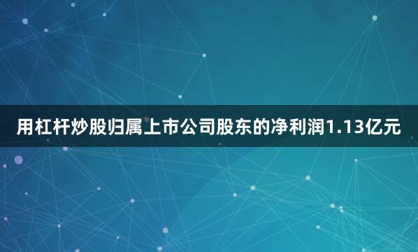 用杠杆炒股归属上市公司股东的净利润1.13亿元