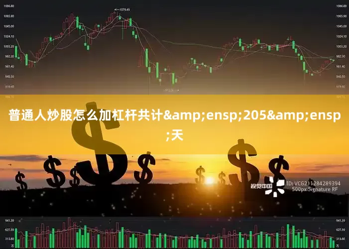 普通人炒股怎么加杠杆共计&ensp;205&ensp;天
