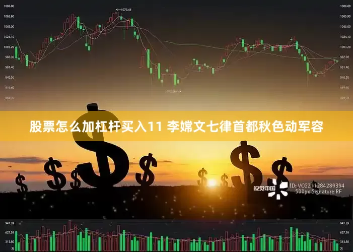 股票怎么加杠杆买入11 李嫦文七律首都秋色动军容